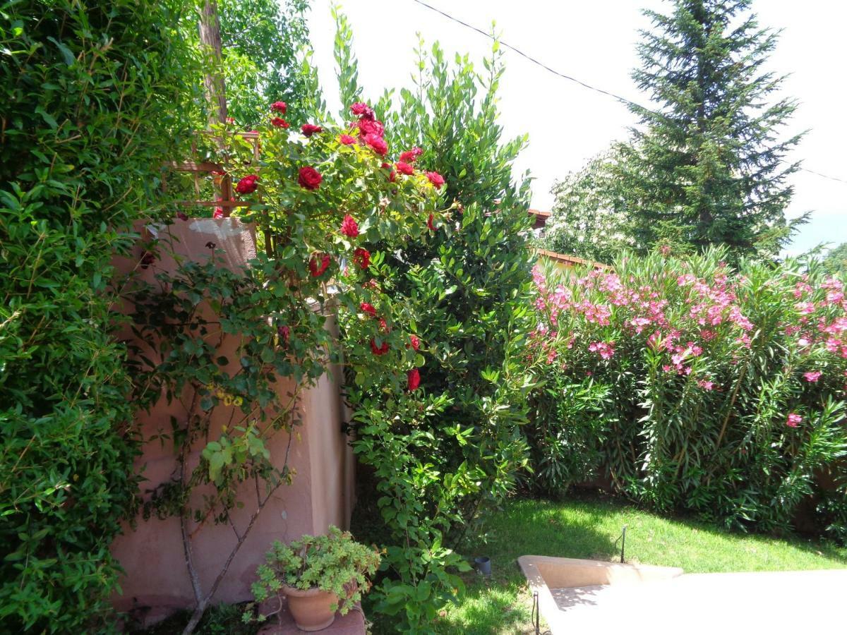 Apartment Golf Dojran Exterior foto